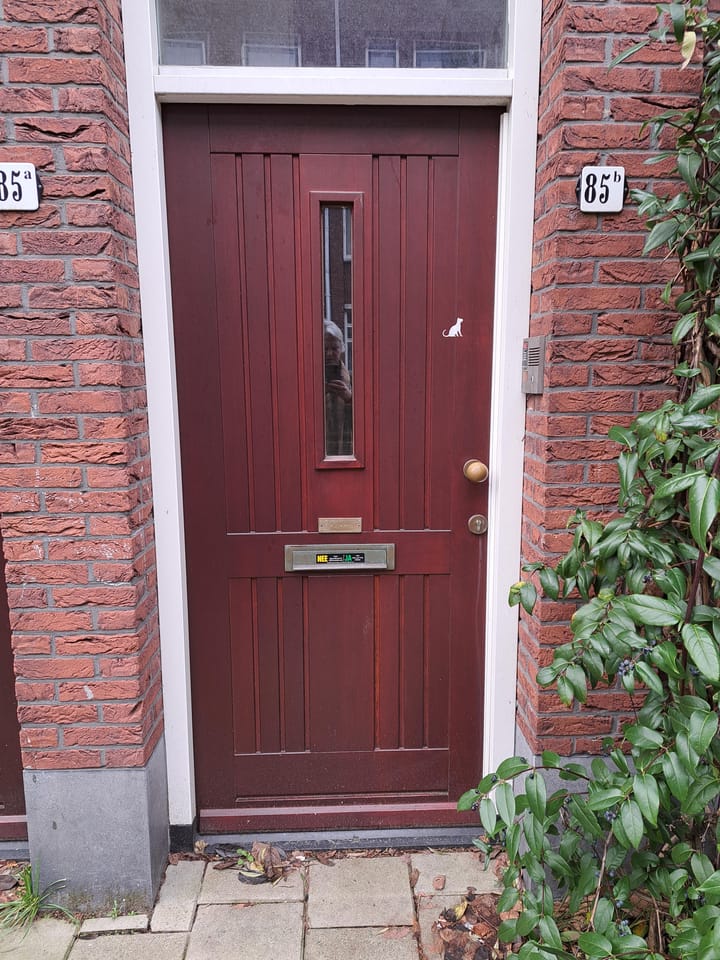 Foto 5 van Reinwardtstraat 85-B