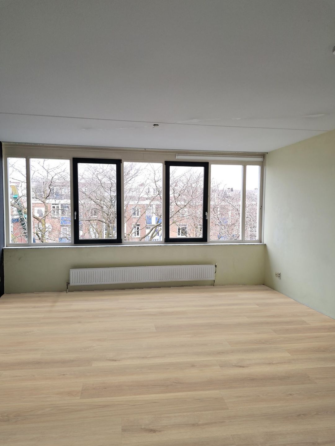 Photo 8 of Reinwardtstraat 85-B