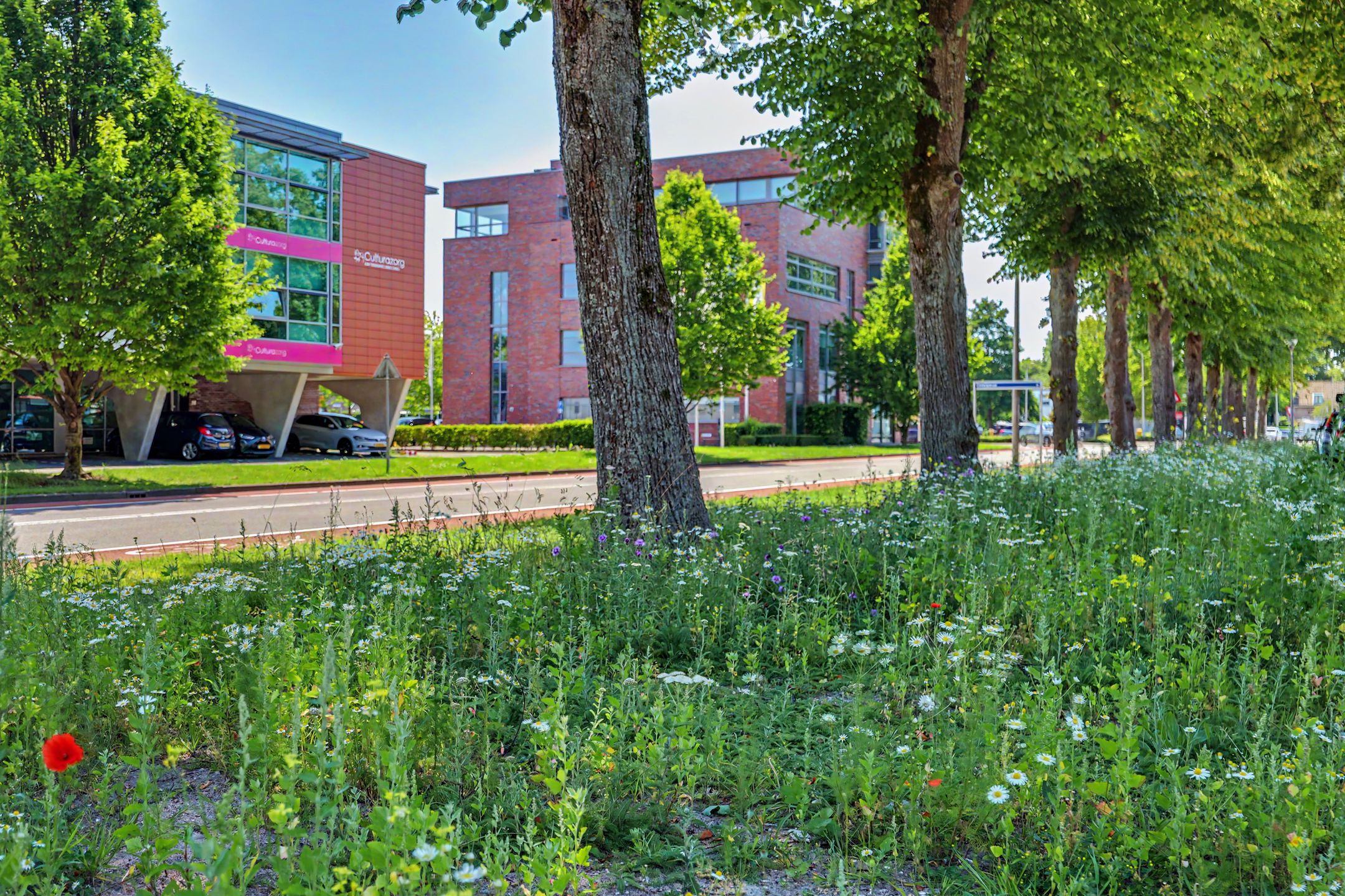 Photo 6 of Havenstraat 69