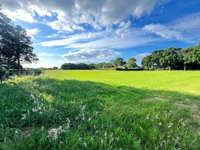Foto 1 van De Hoof