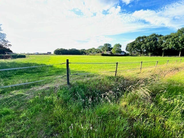 Photo 6 of De Hoof