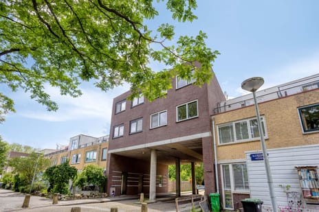 Potvisstraat thumbnail