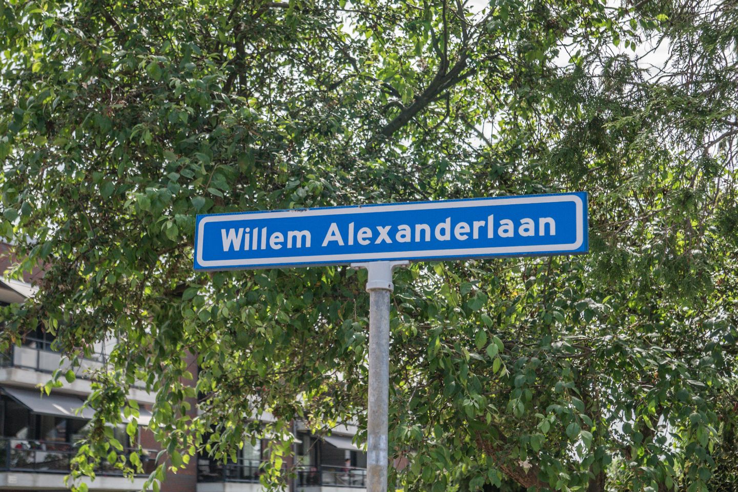Foto 50 van Willem-Alexanderlaan 29