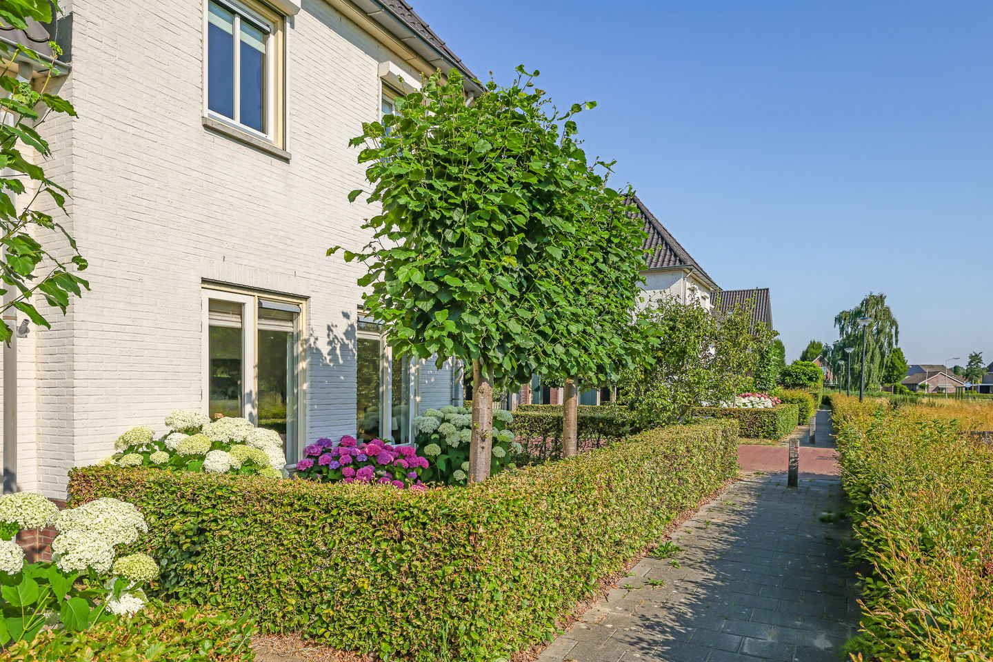 Photo 64 of De Hoeve 1