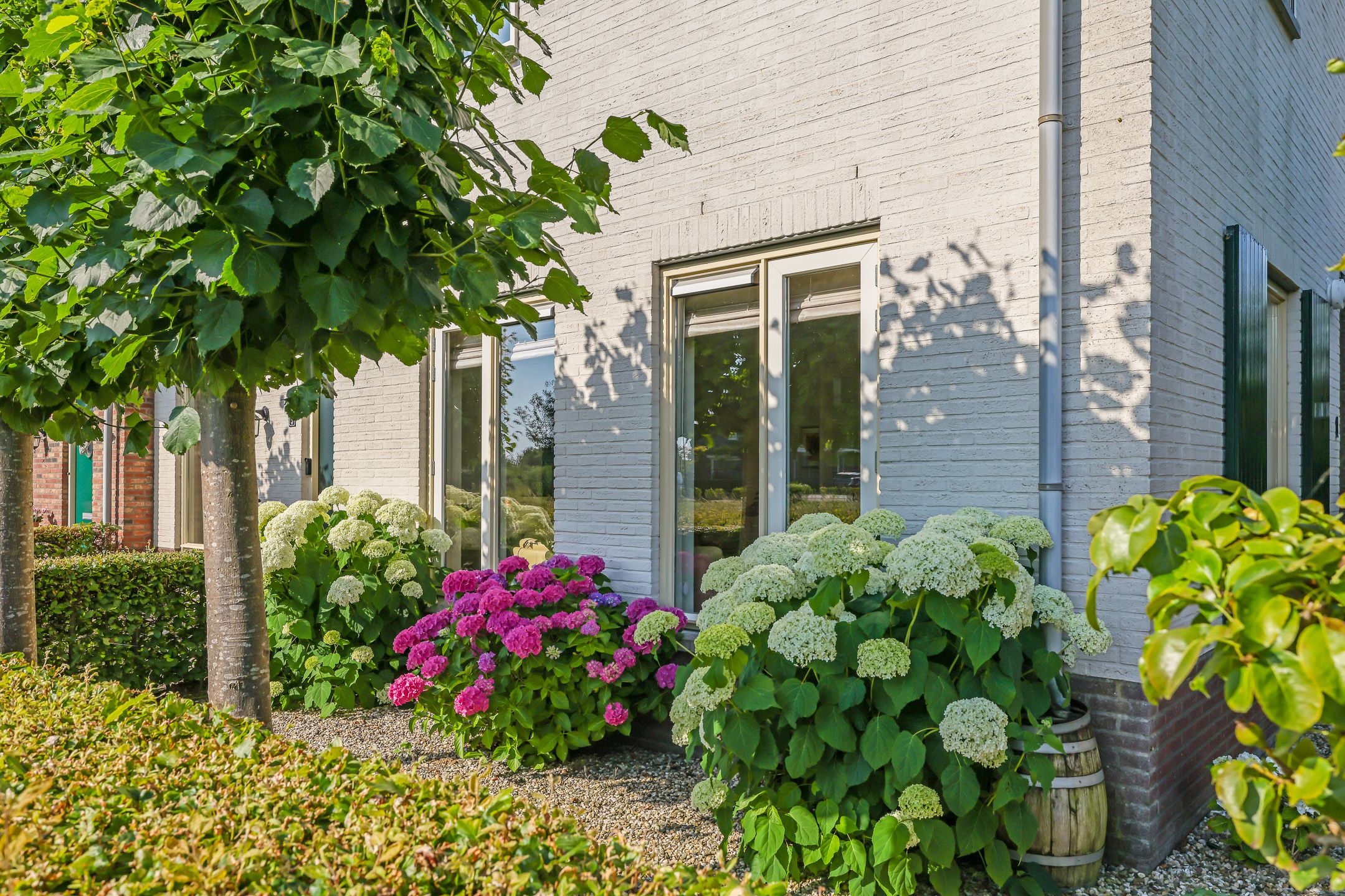 Photo 63 of De Hoeve 1