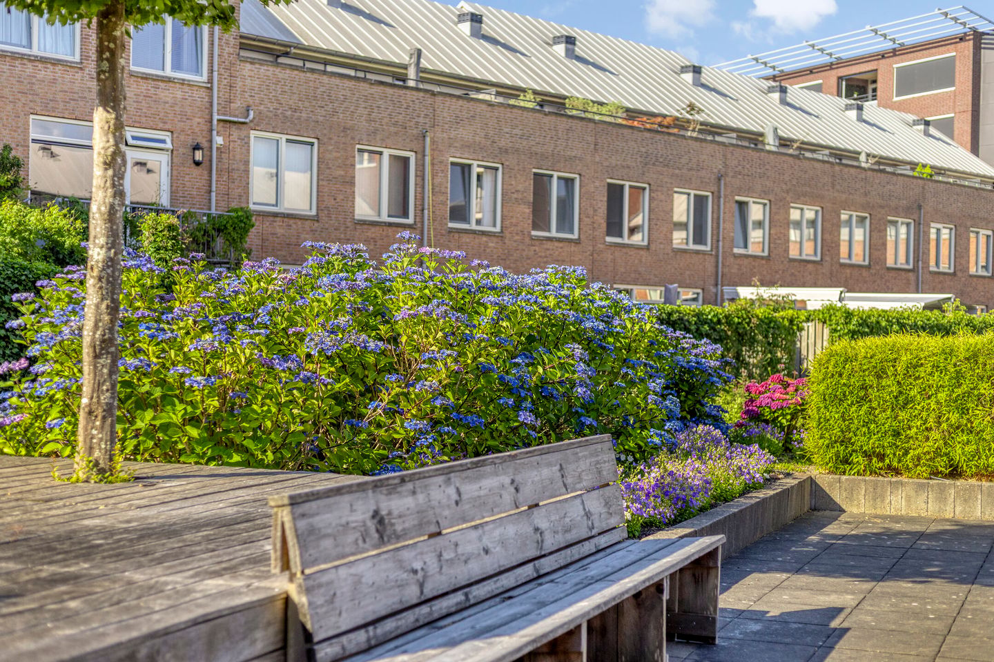 Photo 59 of Koopmanstraat 14