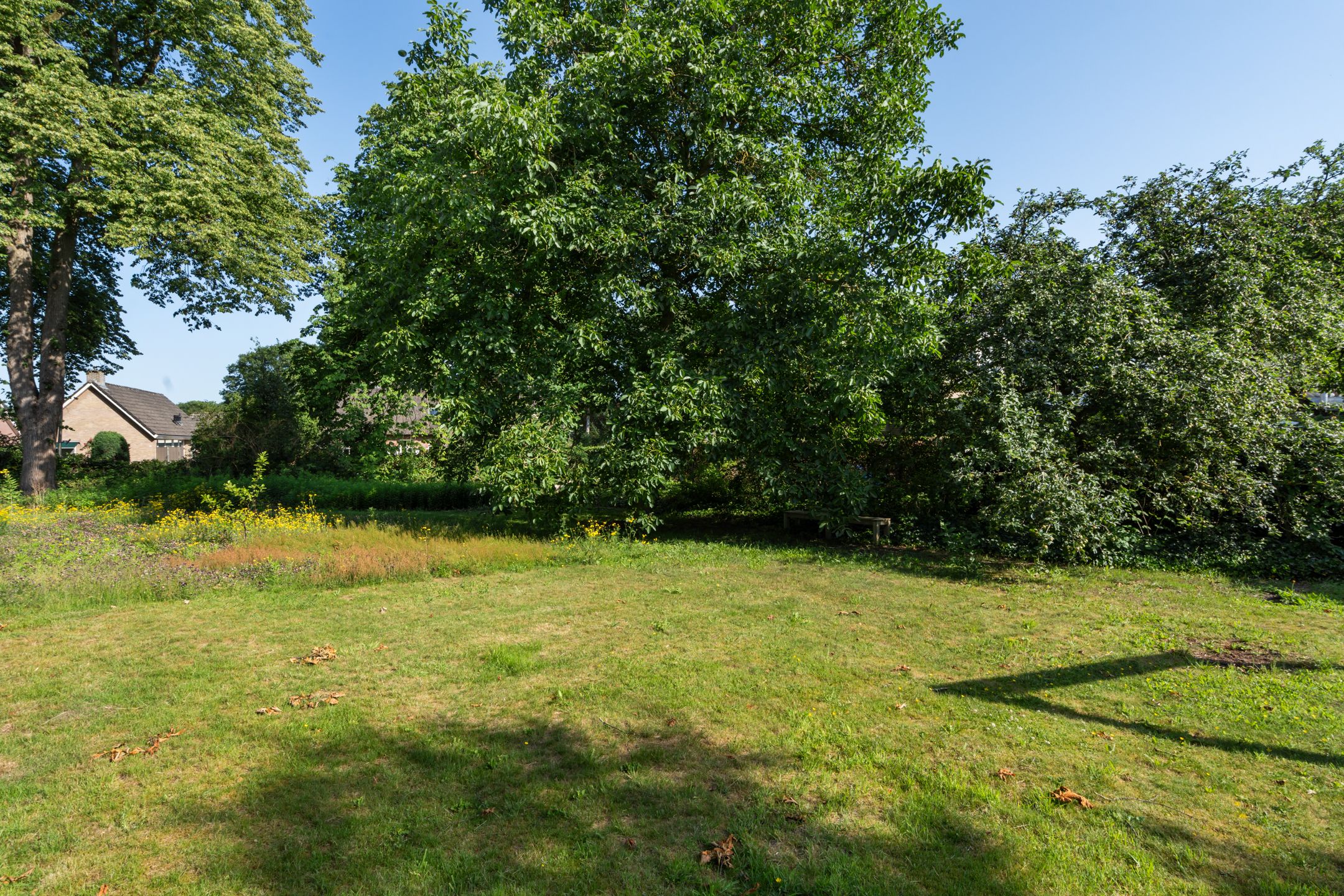 Photo 48 of Schaapstreek 5