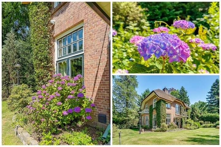 Foto 2 van Rembrandtlaan 28