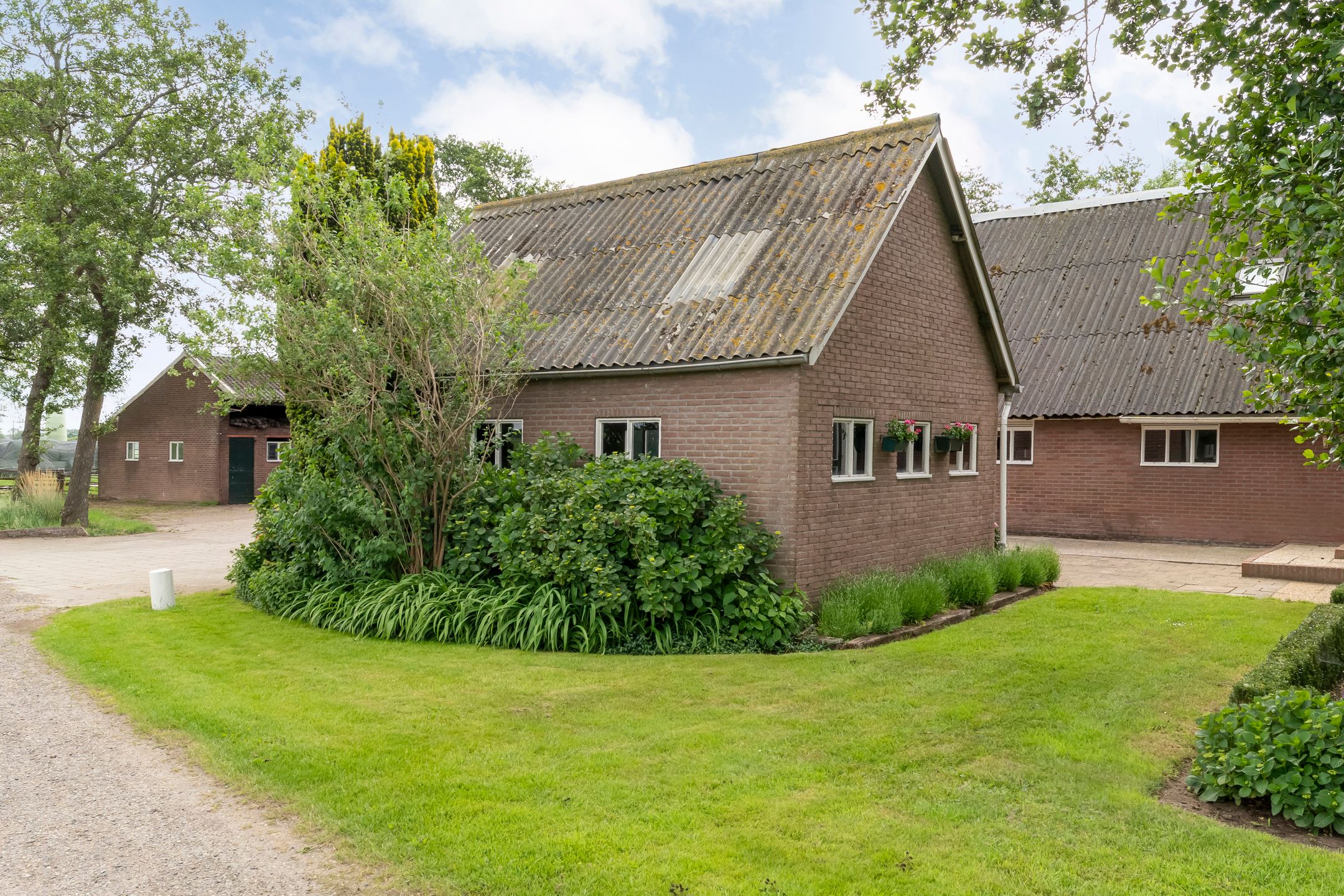 Foto 12 van Nieuwendijk 2