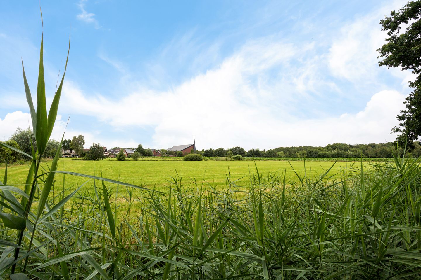 Photo 40 of Rijnschoten 5