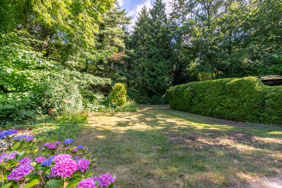 Photo 32 of Ericalaan 11
