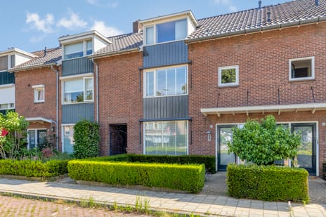 Boerhaavelaan thumbnail