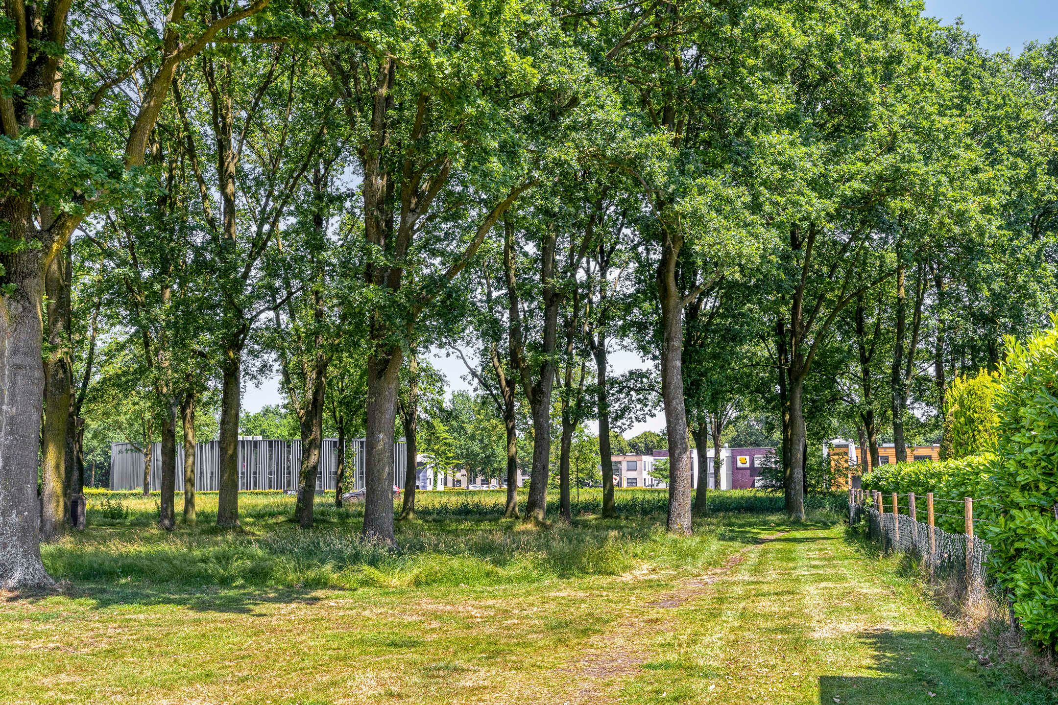 Foto 42 van De Bieffel 16