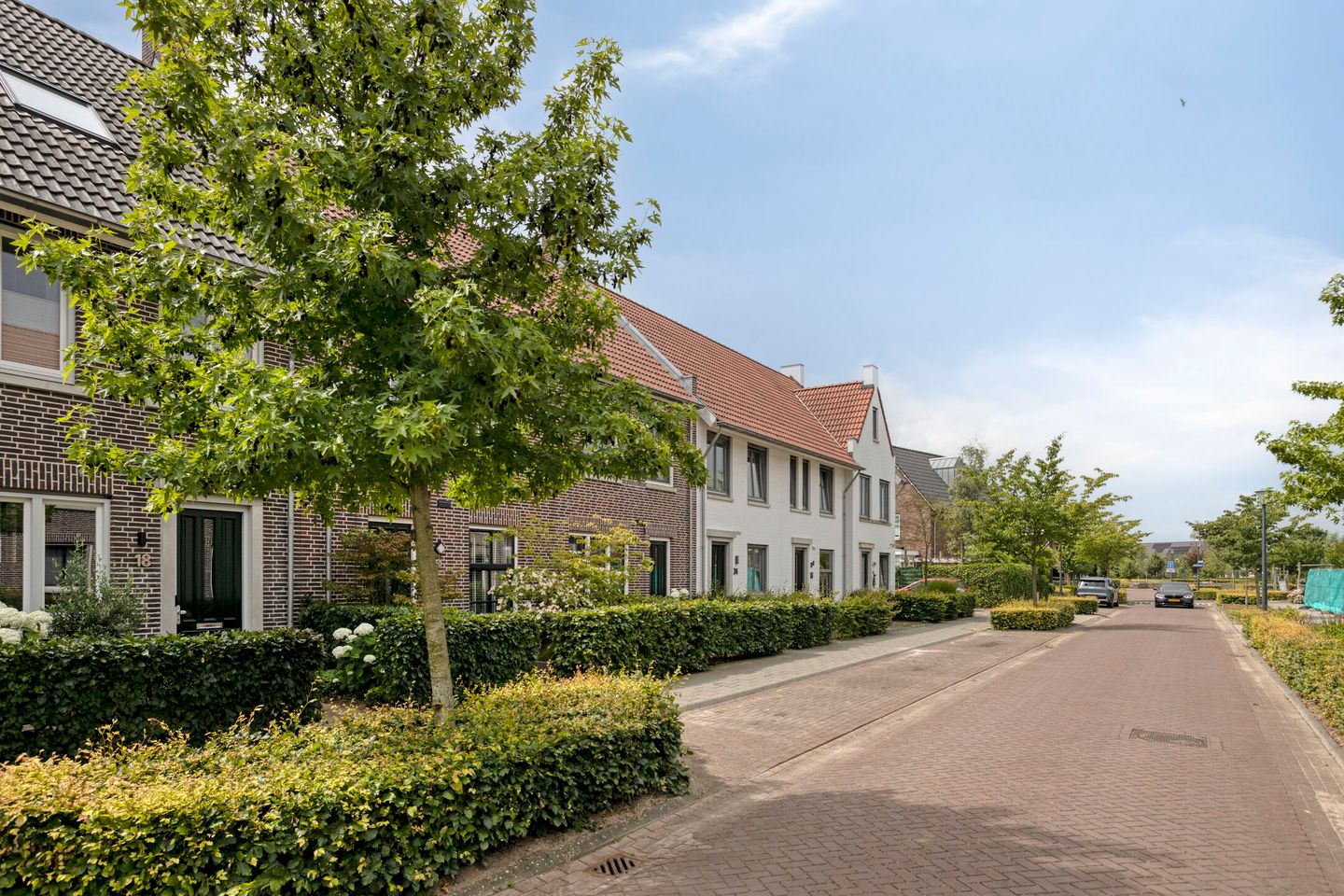 Foto 5 van Zwartbont 20