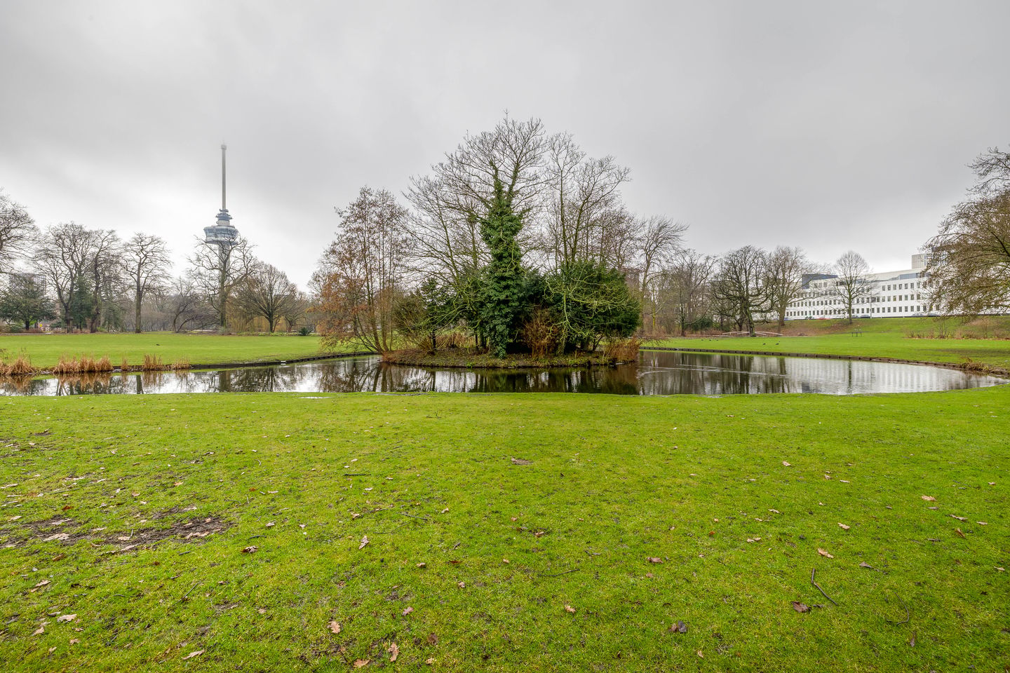 Foto 40 van Westzeedijk 186