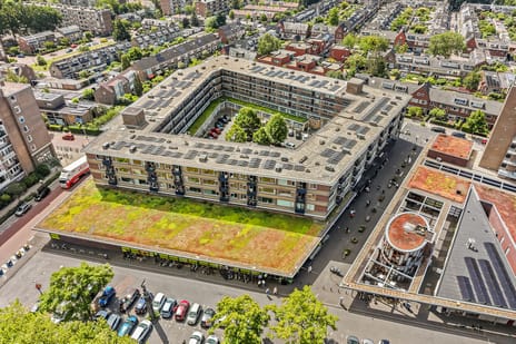 Smaragdplein thumbnail