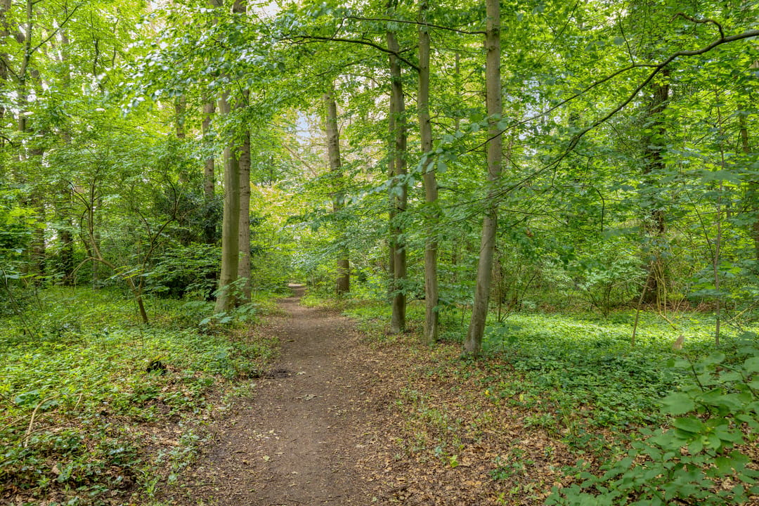 Foto 47 van Kozakkenlaan 6