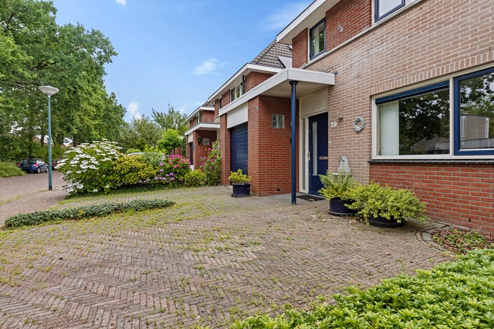 Foto 4 van Winterkoning 29