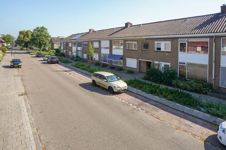 Nicolaas Maesstraat thumbnail