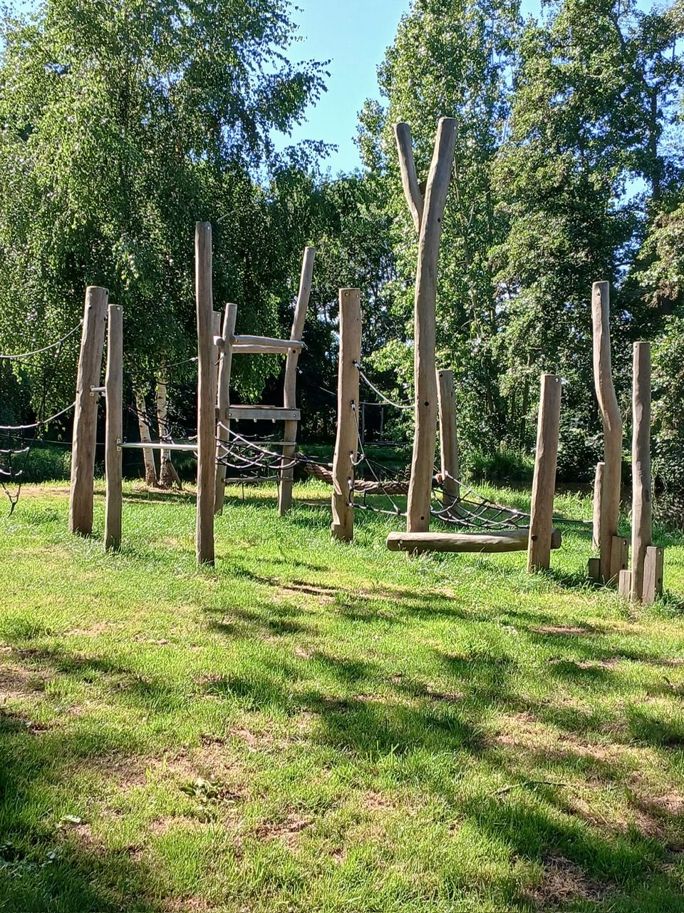 Foto 20 van Klaver 4