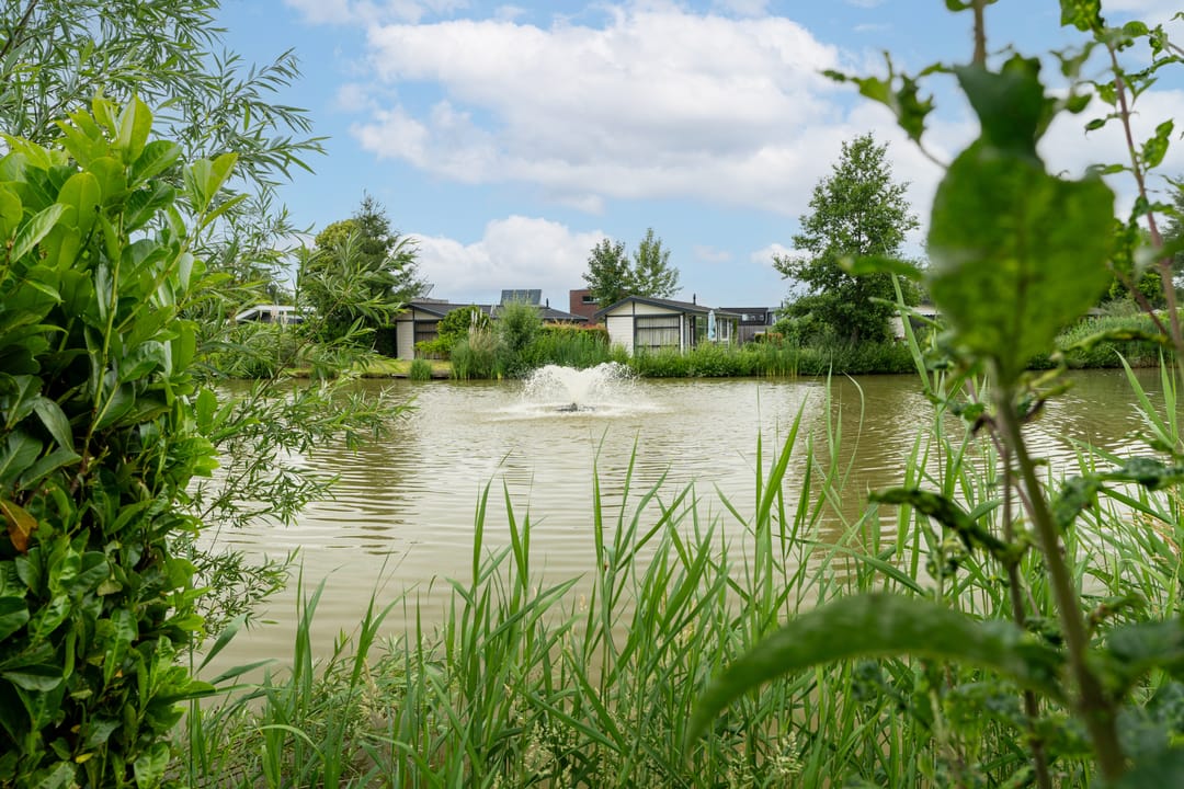 Photo 16 of Zaaiwaard 3-121