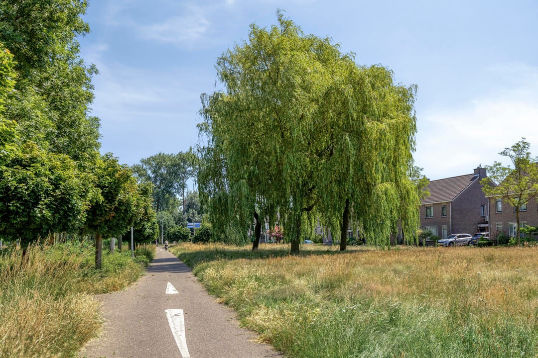 Foto 41 van de Bergen 55