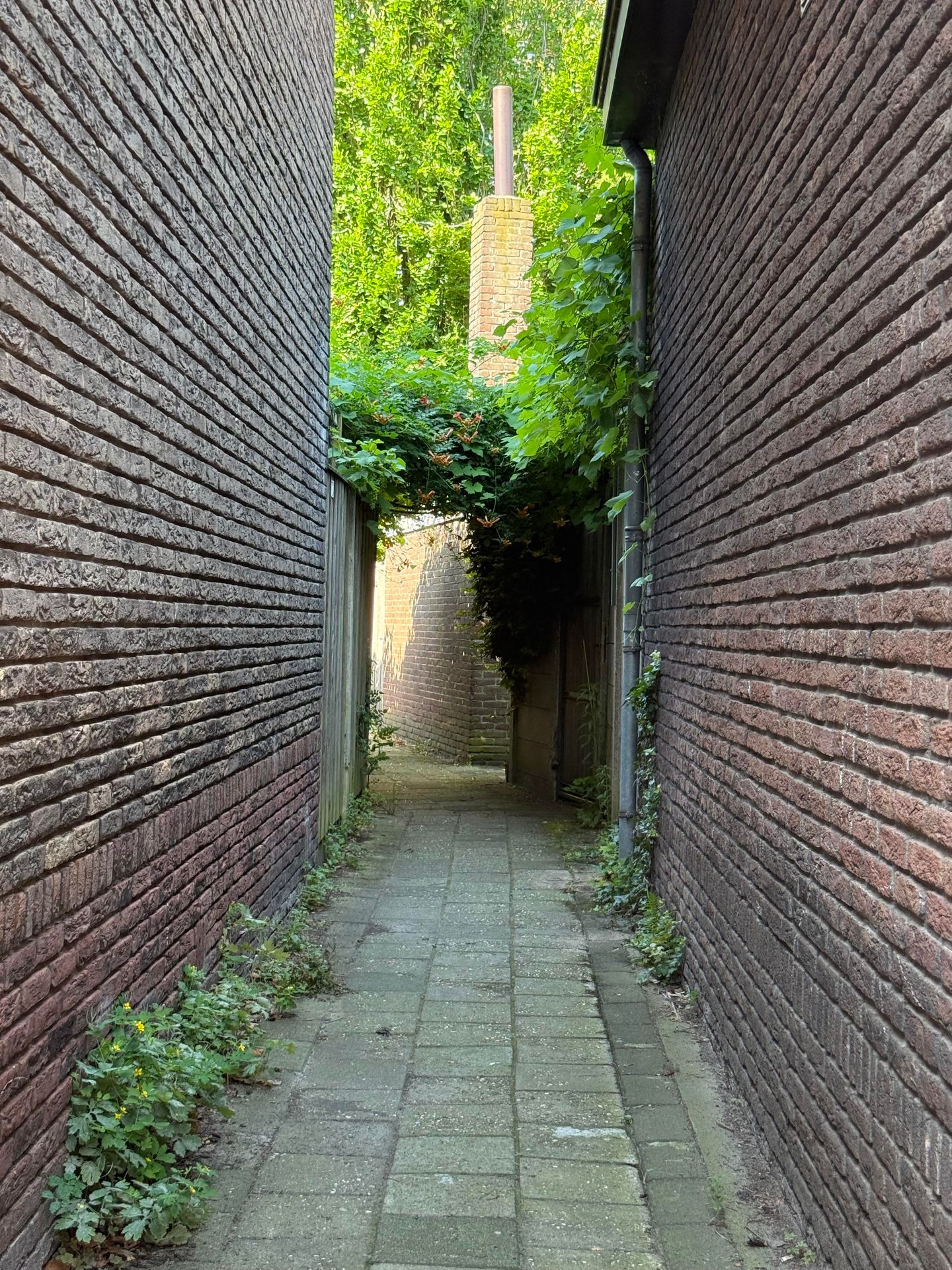 Foto 40 van Tjalkstraat 2-A