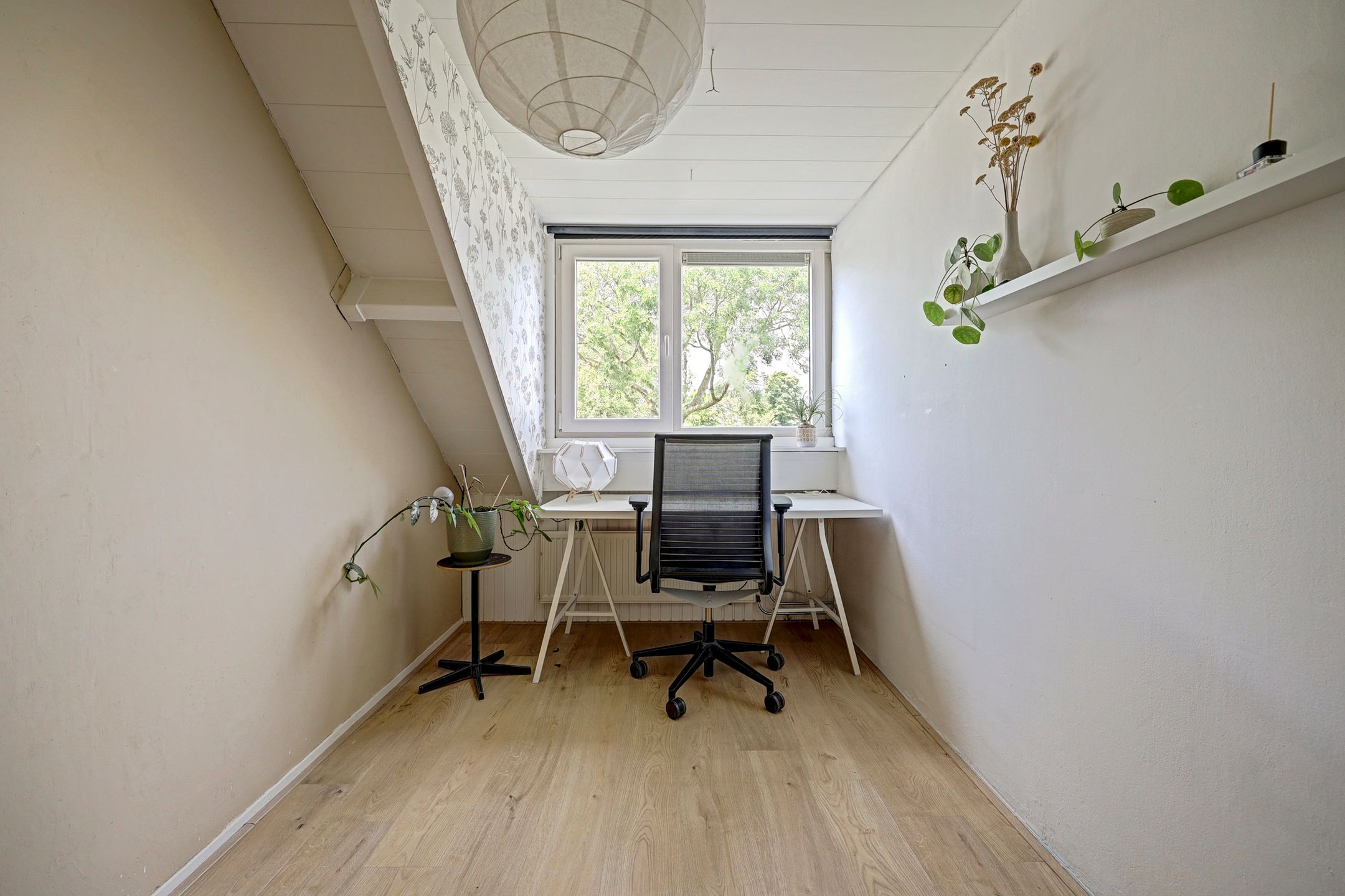 Photo 15 of Lijster 17