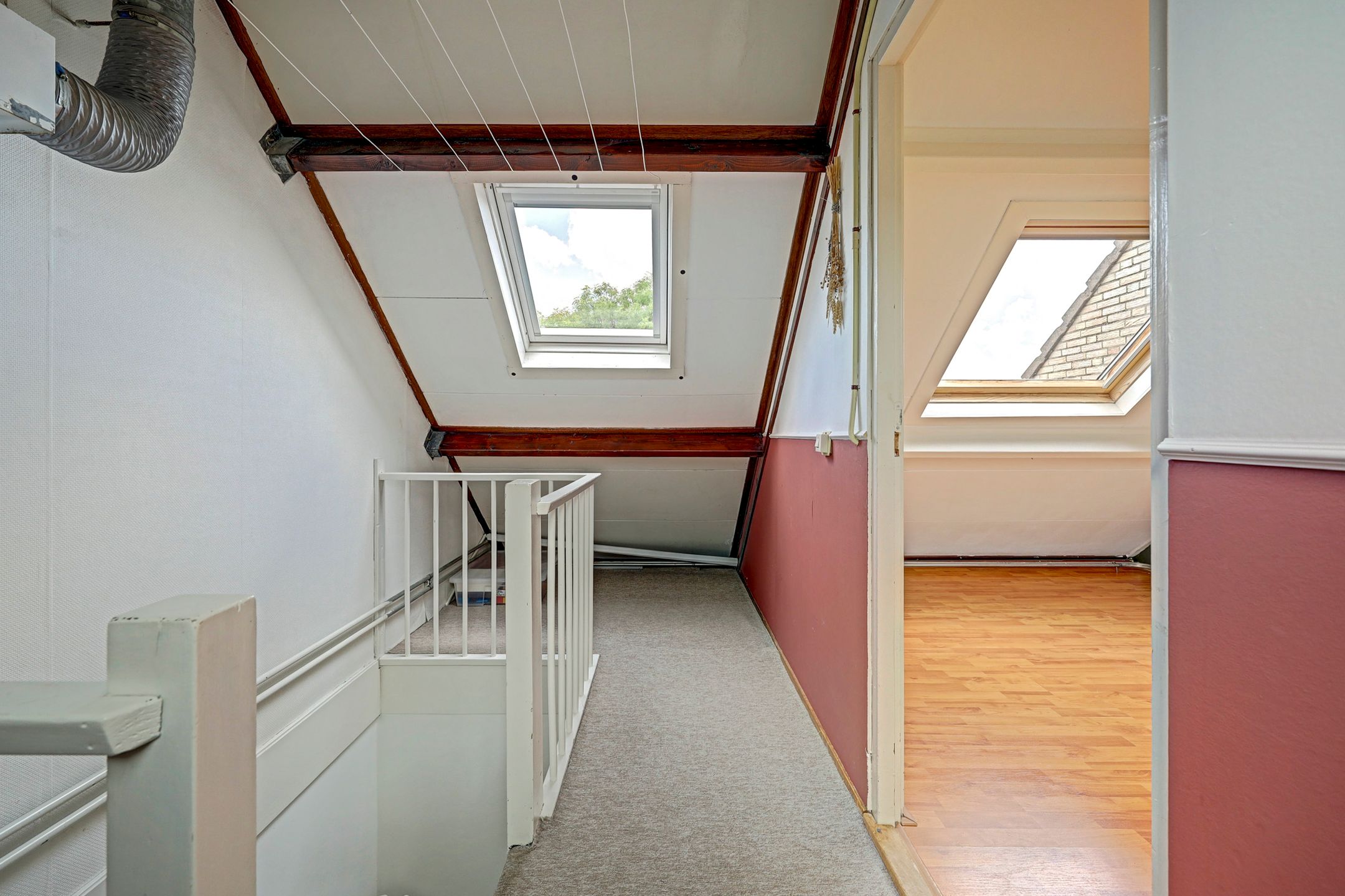 Photo 21 of Lijster 17