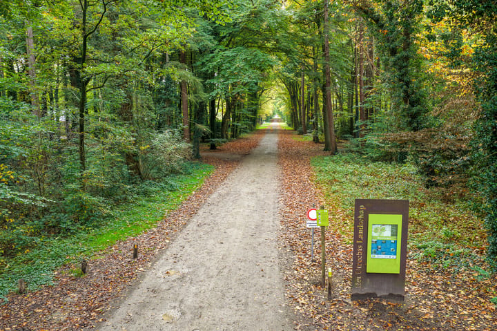 Photo 3 of Oude Rijksstraatweg 6