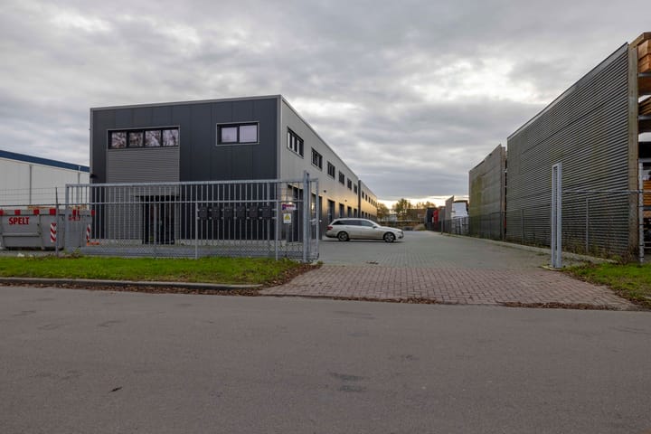 Foto 3 van Rooilijn 5-L