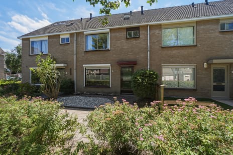 Ganzestraat thumbnail