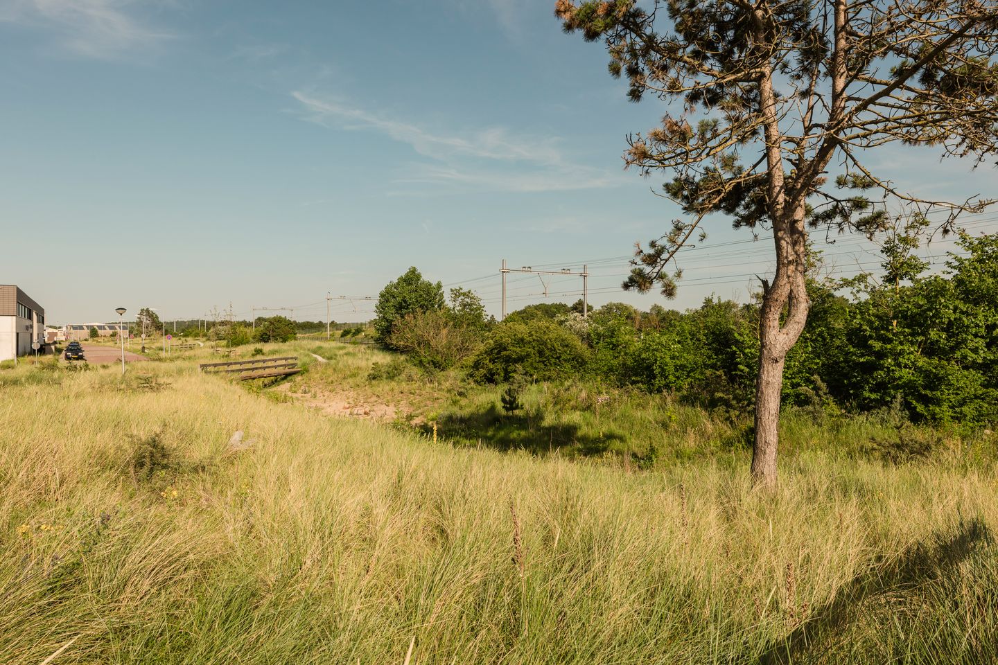 Photo 55 of Galileistate 81