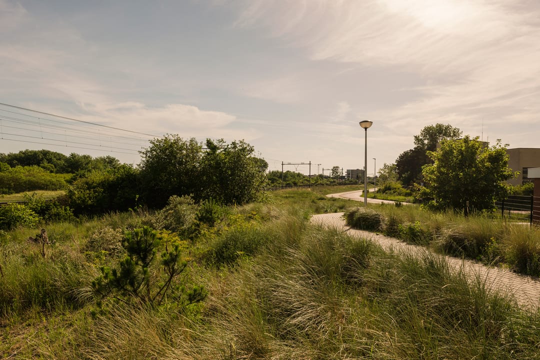 Photo 56 of Galileistate 81