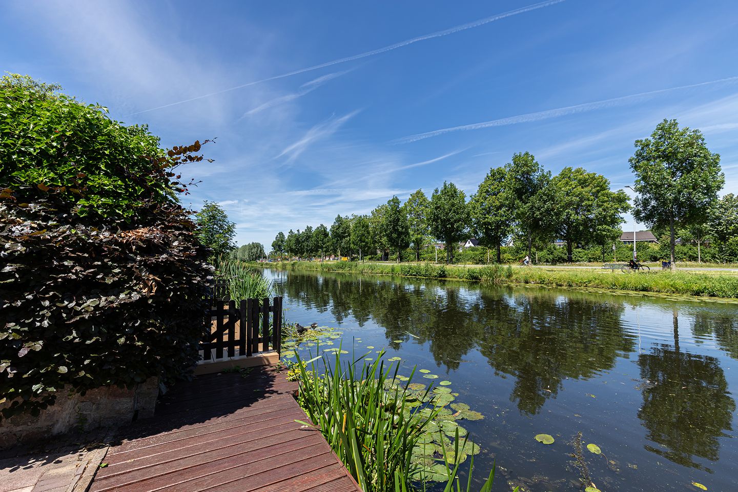 Foto 4 van Gerard Dousingel 19