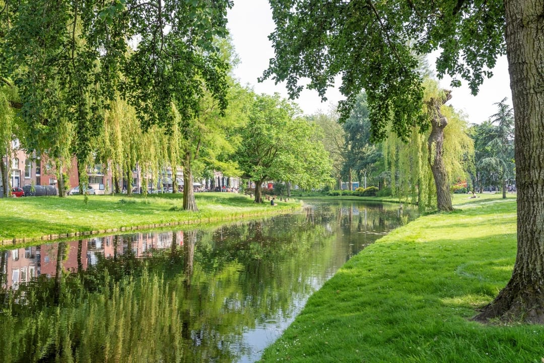 Foto 23 van Mathenesserlaan 321-D