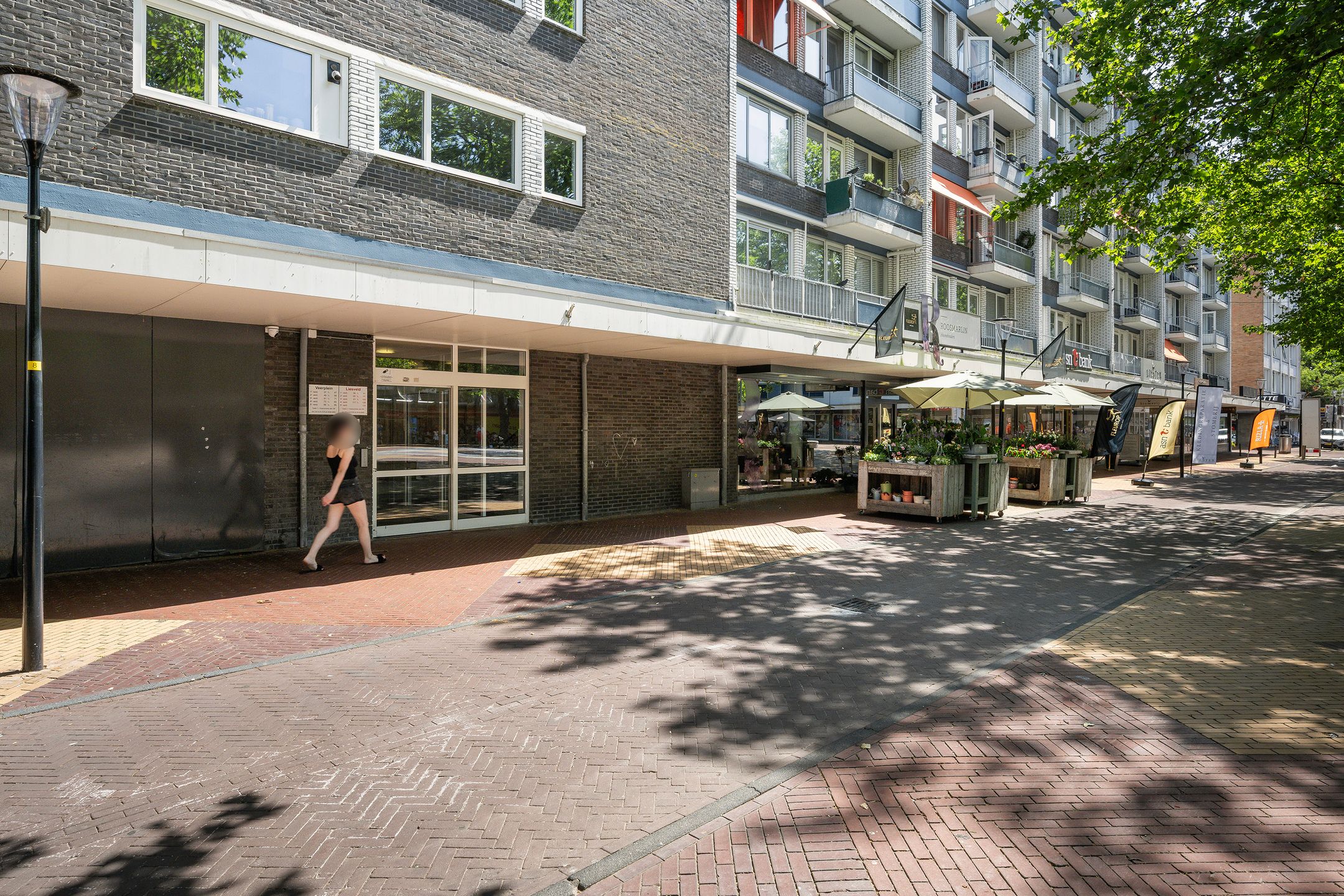 Photo 6 of Liesveld 41
