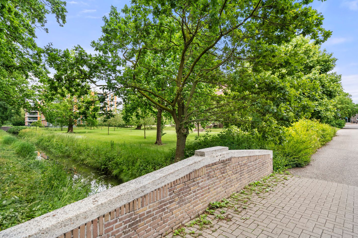 Photo 5 of Plataanlaan 55