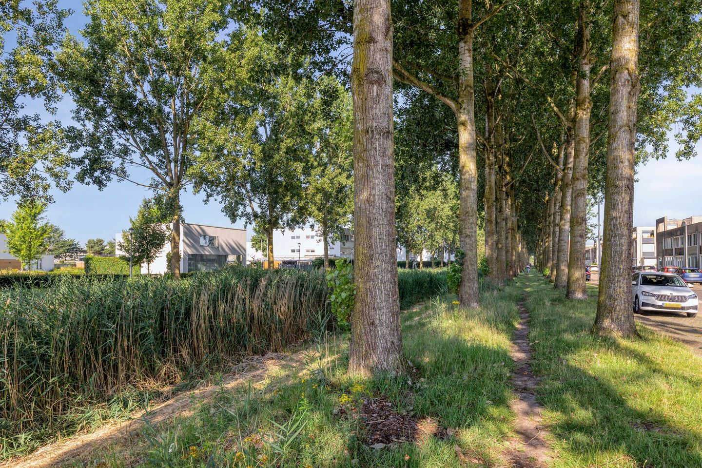 Foto 44 van Reuverlaan 5