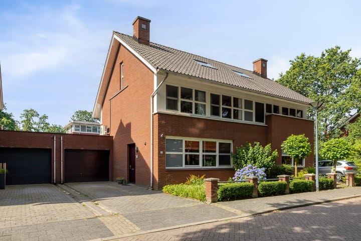 Foto 4 van Hermelijnvlinder 39