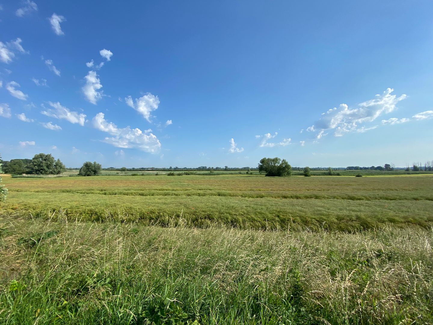Bekijk foto 5 van Deukerdijk
