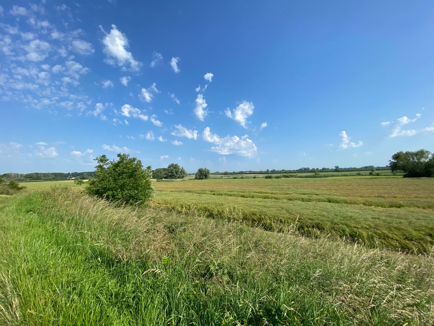 Deukerdijk - Pannerden - Afbeelding 7