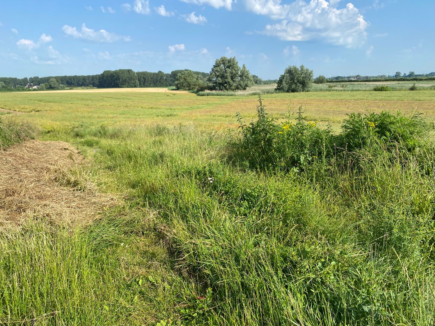 Bekijk foto 2 van Deukerdijk