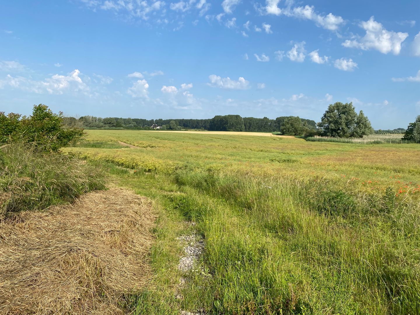 Bekijk foto 3 van Deukerdijk