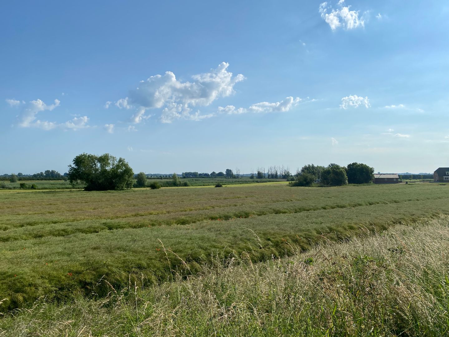 Bekijk foto 4 van Deukerdijk