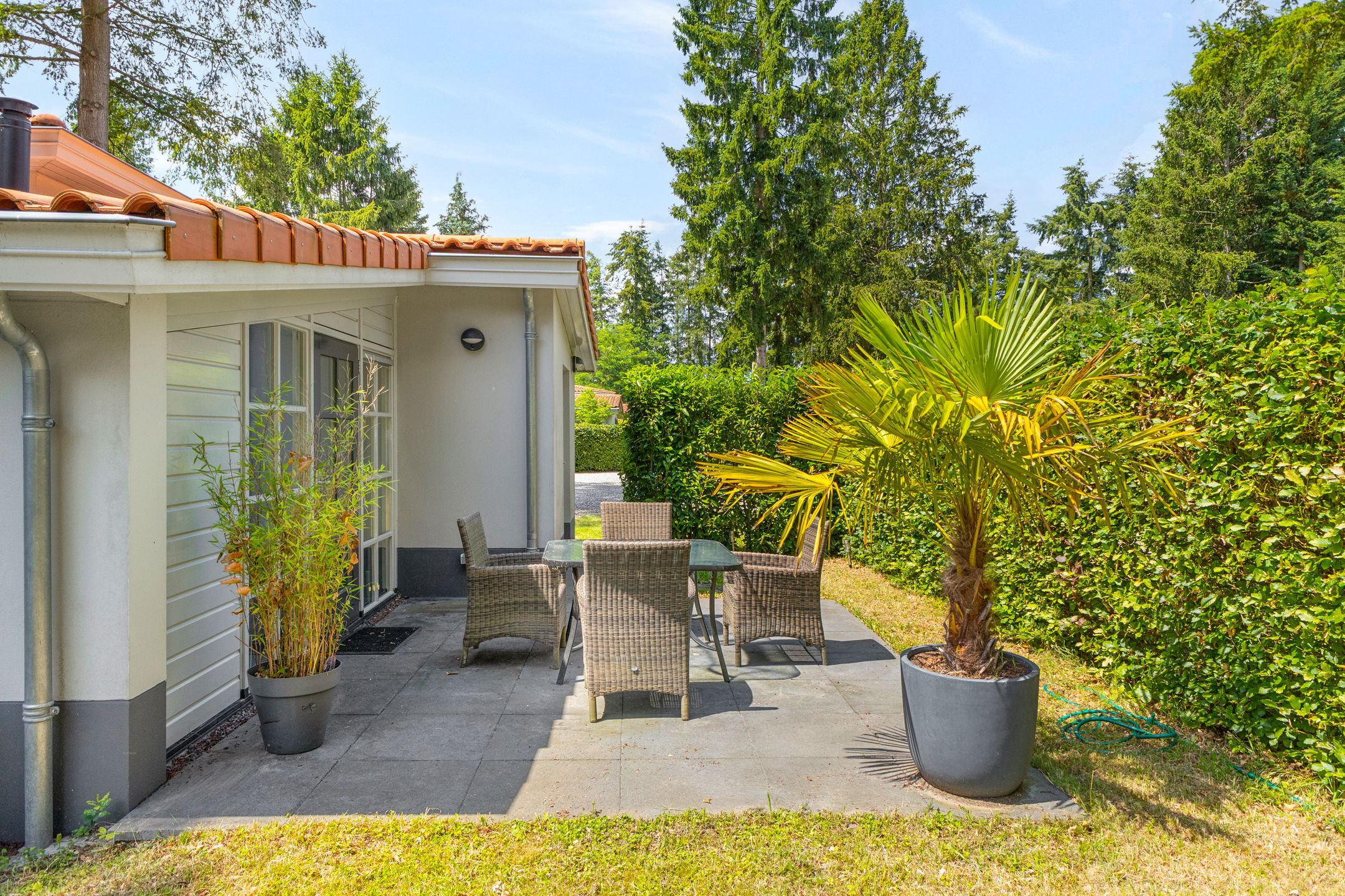 2-bedroom freehold villa in Ermelo — photo 4 of 5