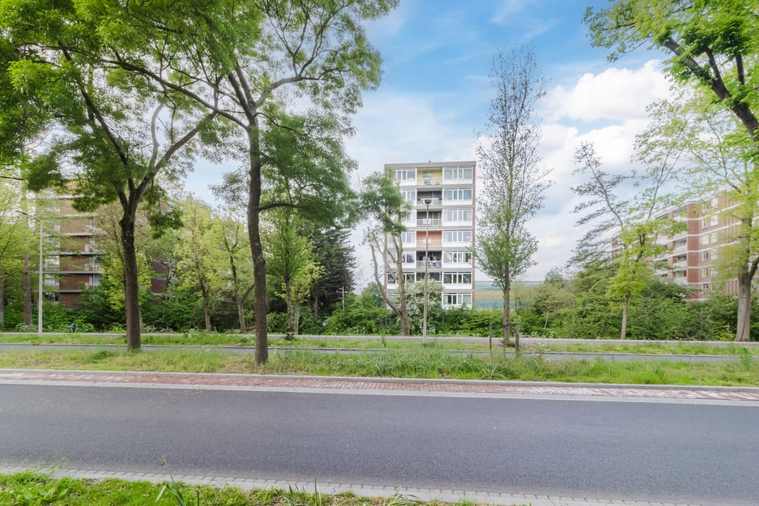 Foto 47 van Kornalijnhorst 234