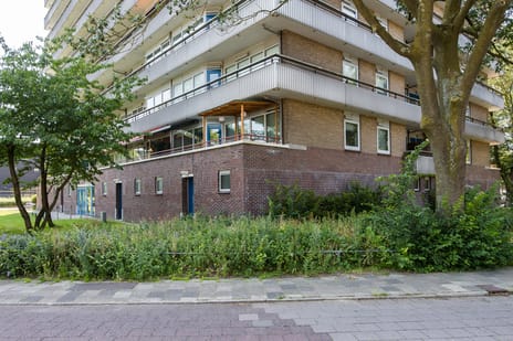 Aziëlaan thumbnail
