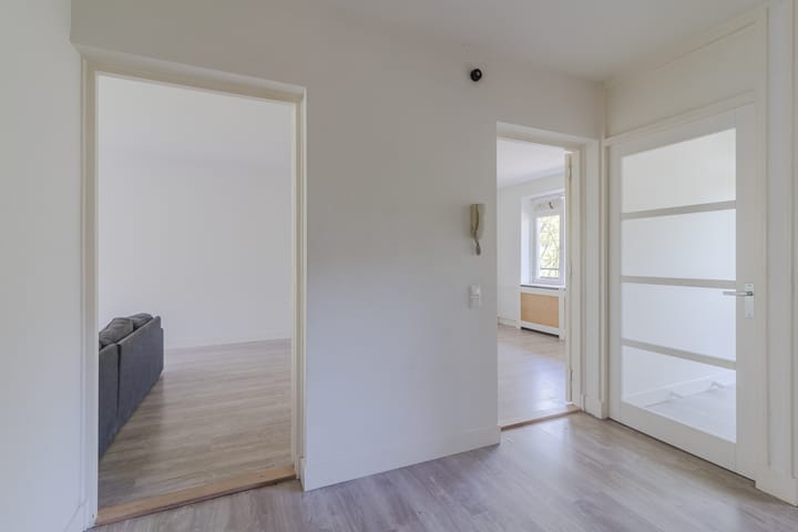 Foto 5 van Aert van Neslaan 311