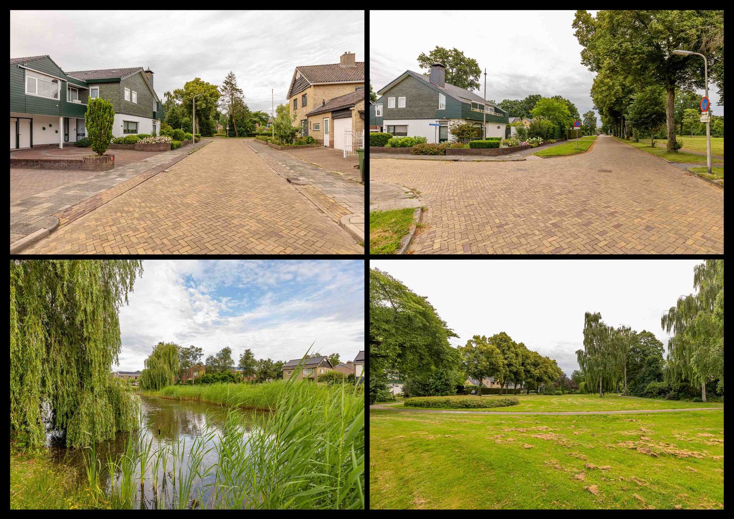 Photo 79 of Pieter de Hooghstraat 35